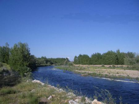 Re: Coto sardonedo para el miercoles santo 2012
